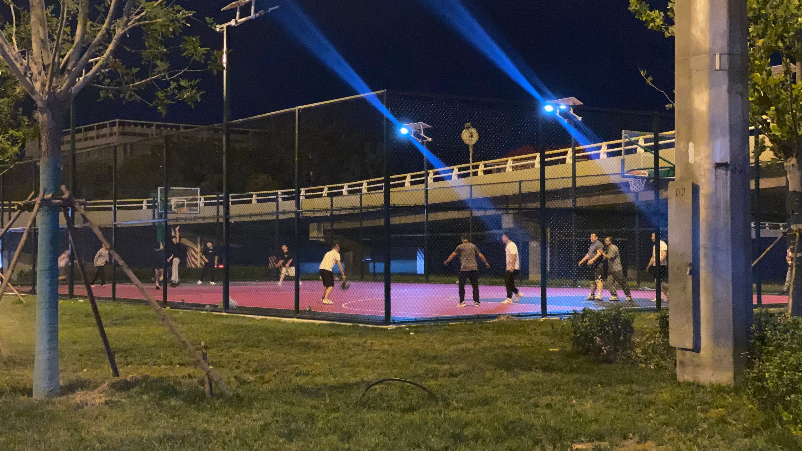 捷安特Giant PCR LTD2公路自行车 - 第4张图片