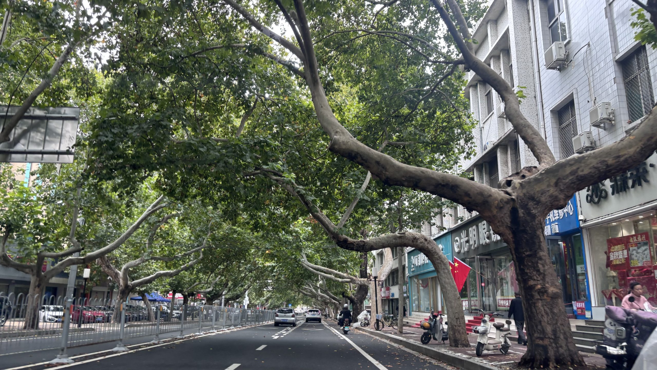泰安是我的一点偏爱 - 第3张图片 | 魏德龙博客 泰安是我的一点偏爱 - 第3张图片