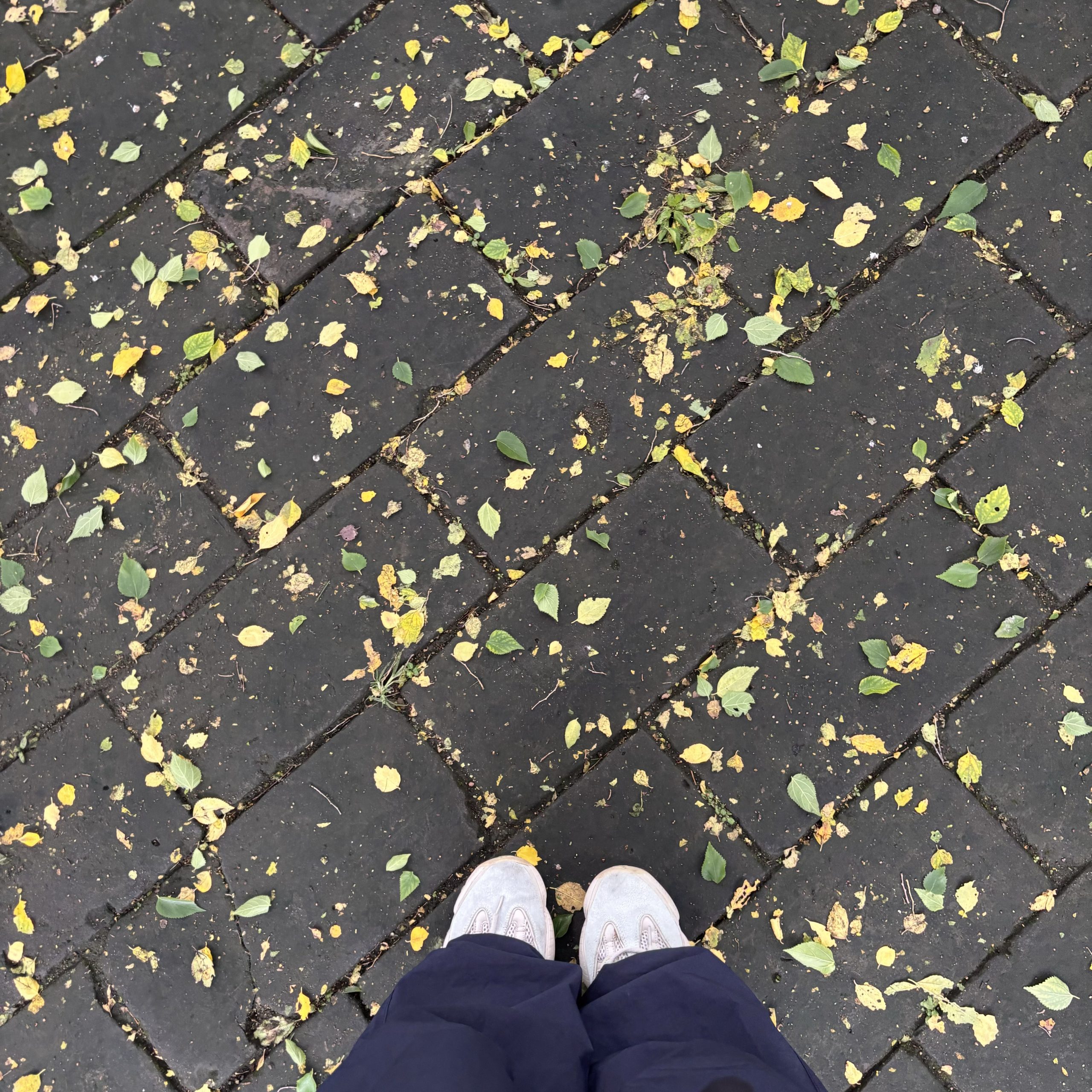 泰安是我的一点偏爱 - 第4张图片 | 魏德龙博客 泰安是我的一点偏爱 - 第4张图片