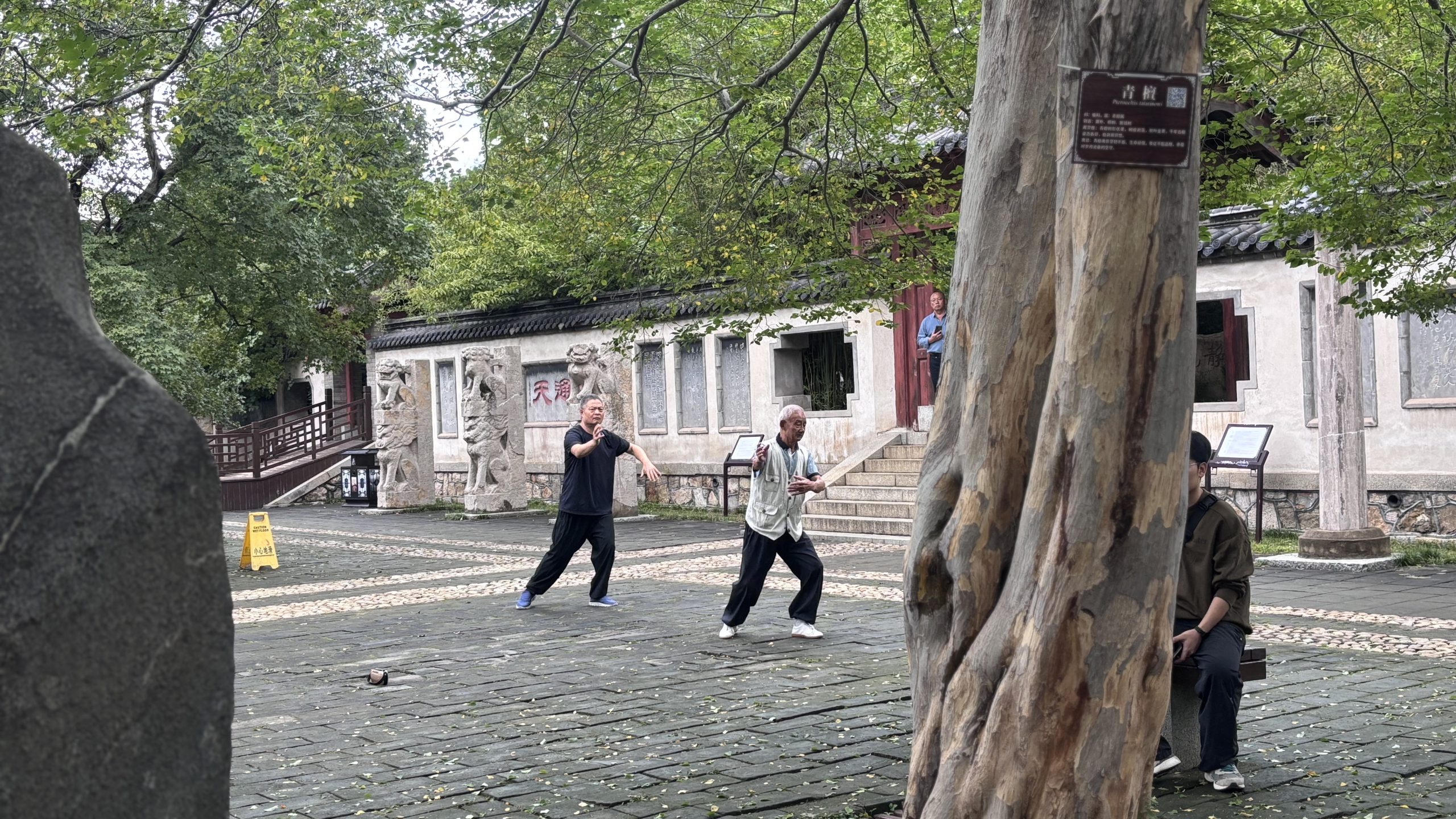 泰安是我的一点偏爱 - 第8张图片 | 魏德龙博客 泰安是我的一点偏爱 - 第8张图片