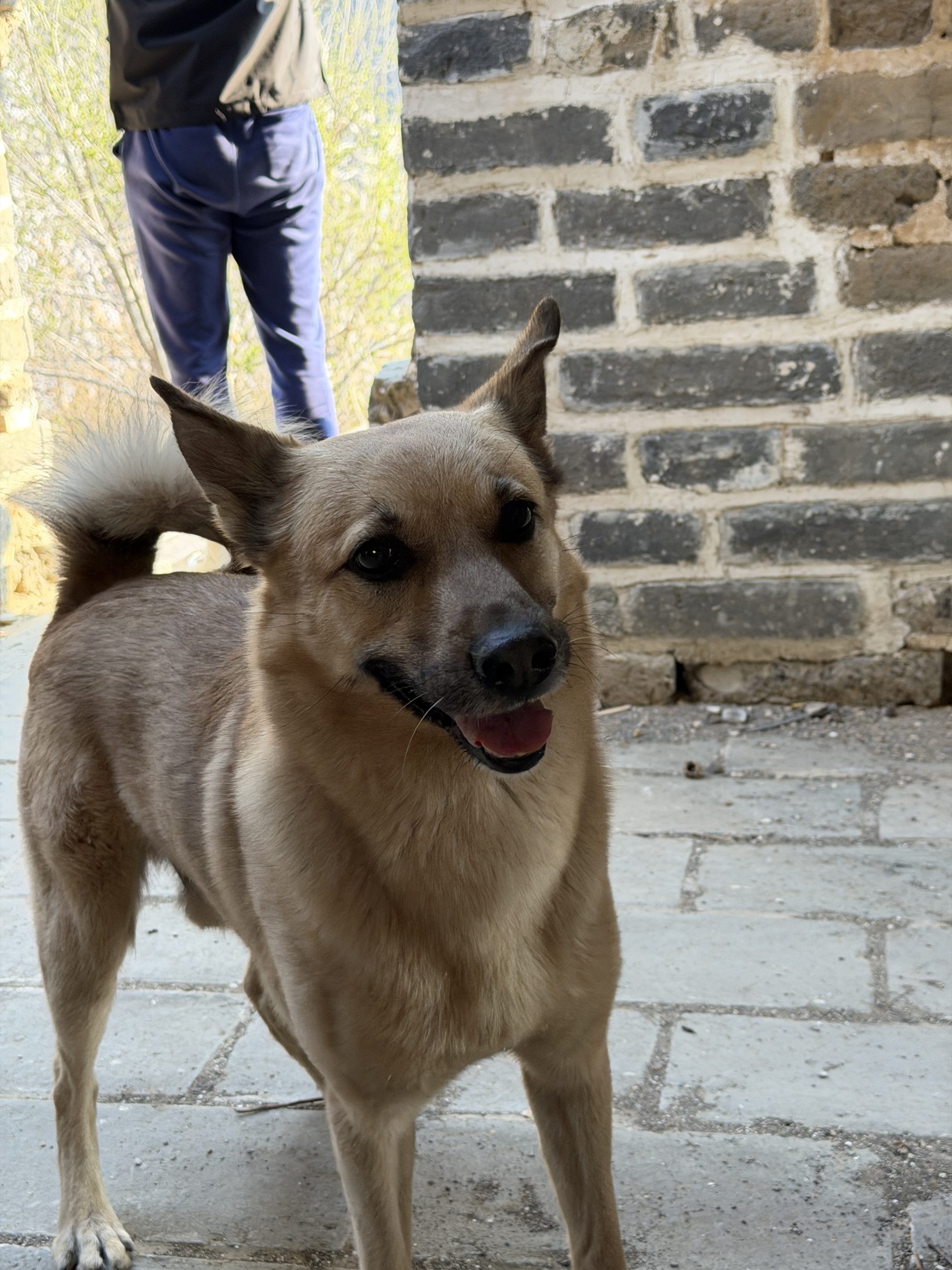 一刷喜峰口长城 - 第5张图片