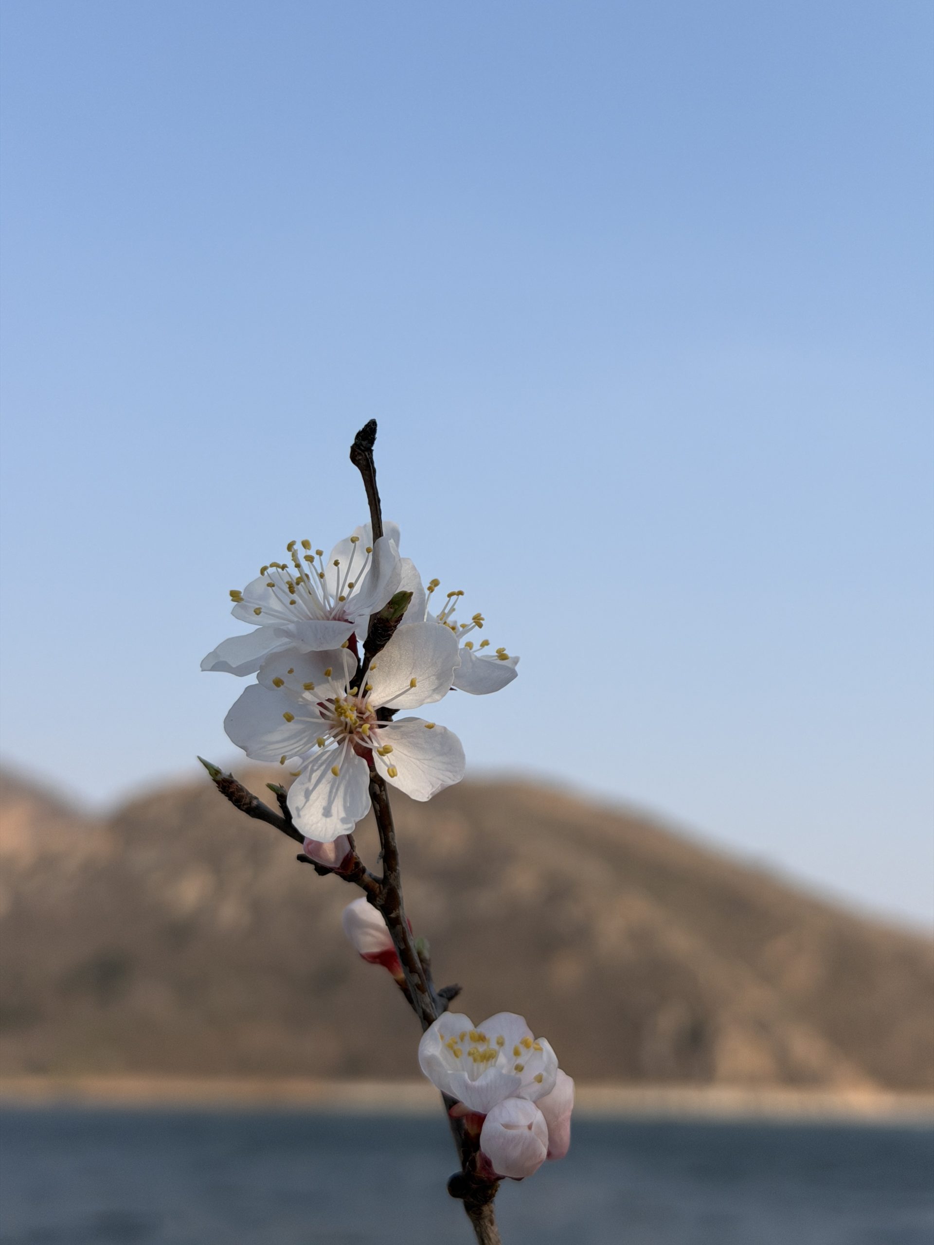 一刷喜峰口长城 - 第6张图片